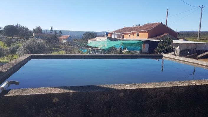 Image No.30-Ferme de 4 chambres à vendre à Pedrógão Grande