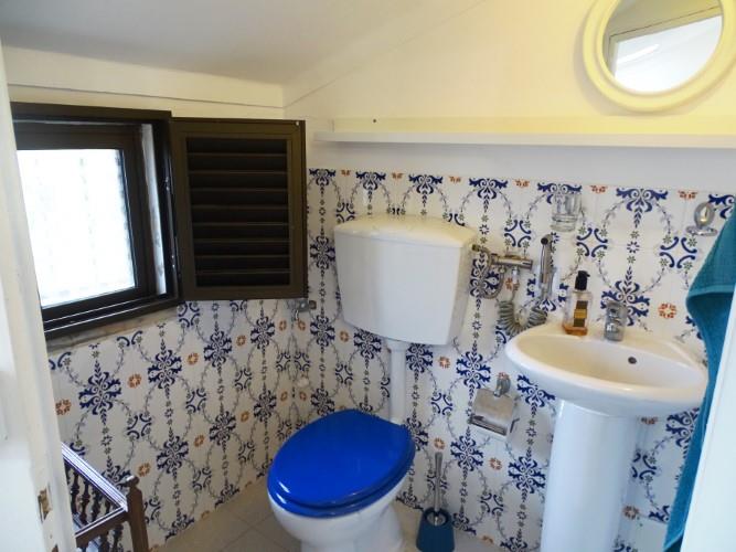 Image No.22-Maison de 3 chambres à vendre à Pedrógão Pequeno