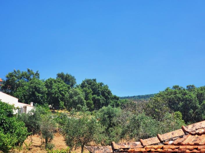 Image No.3-Maison de 3 chambres à vendre à Pedrógão Pequeno