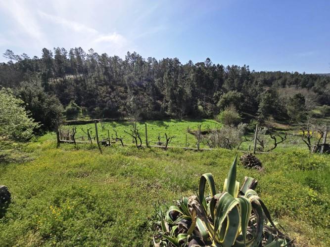Image No.5-Ferme de 3 chambres à vendre à Oleiros