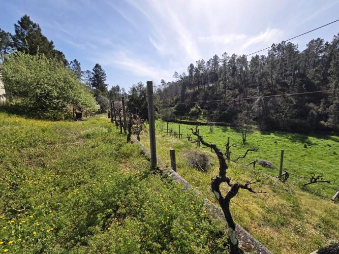 Image No.6-Ferme de 3 chambres à vendre à Oleiros