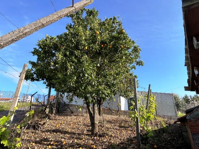 Image No.23-Maison de village de 2 chambres à vendre à Góis
