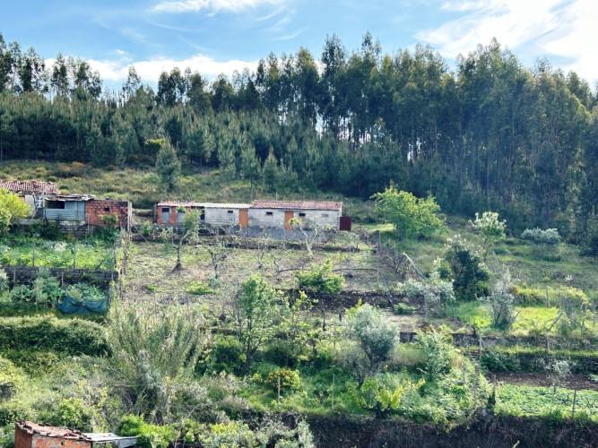 Image No.29-Maison de village de 2 chambres à vendre à Góis