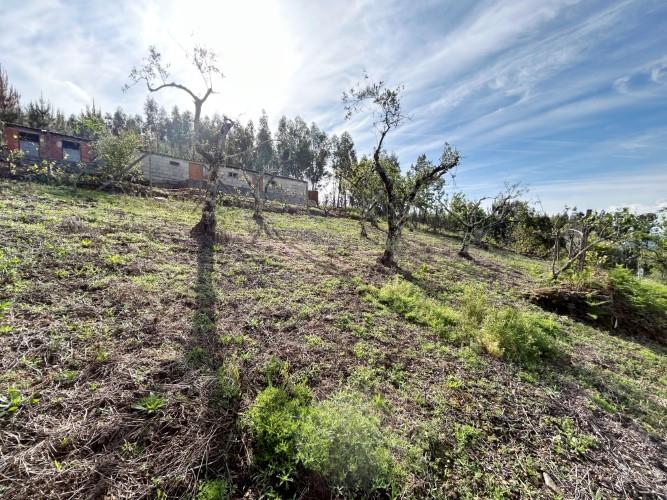 Image No.33-Maison de village de 2 chambres à vendre à Góis