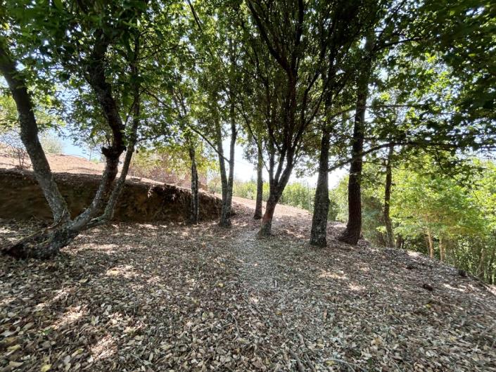 Image No.17-Maison de campagne à vendre à Góis