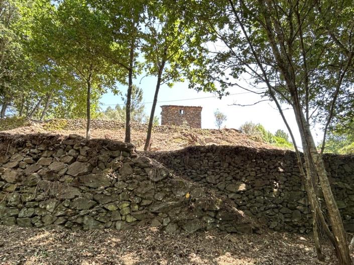 Image No.18-Maison de campagne à vendre à Góis