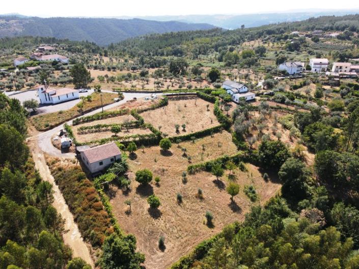 Image No.4-Ferme à vendre à Pampilhosa da Serra
