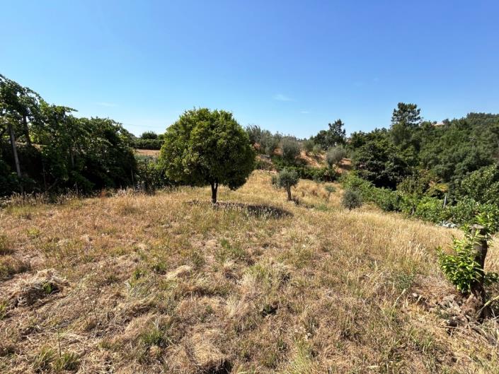 Image No.10-Ferme à vendre à Pampilhosa da Serra