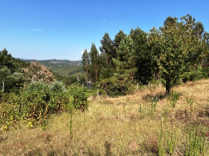 Image No.14-Ferme à vendre à Pampilhosa da Serra