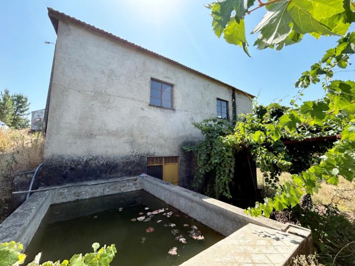 Image No.17-Ferme à vendre à Pampilhosa da Serra