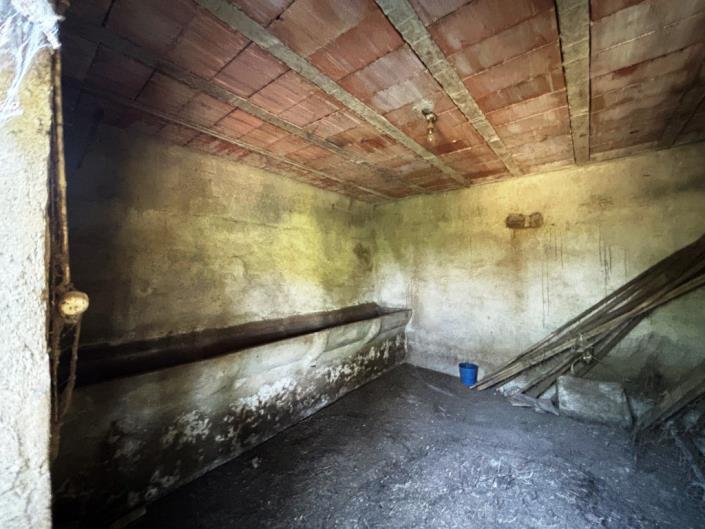 Image No.23-Ferme à vendre à Pampilhosa da Serra