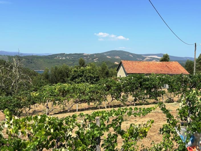 Image No.24-Ferme à vendre à Pampilhosa da Serra