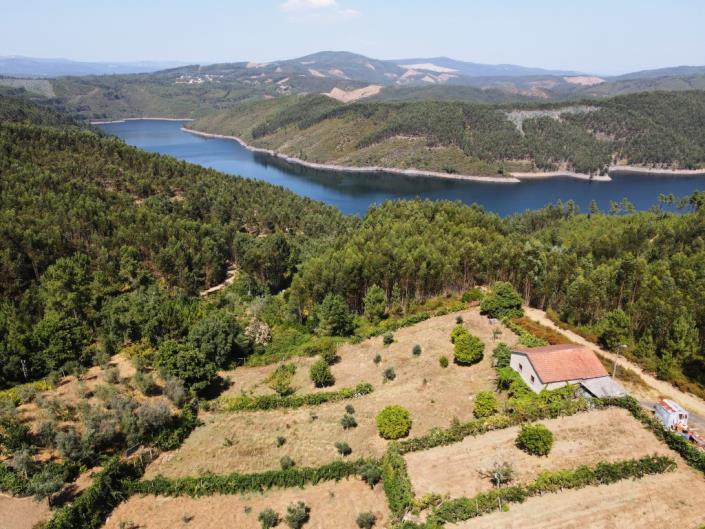 Image No.25-Ferme à vendre à Pampilhosa da Serra