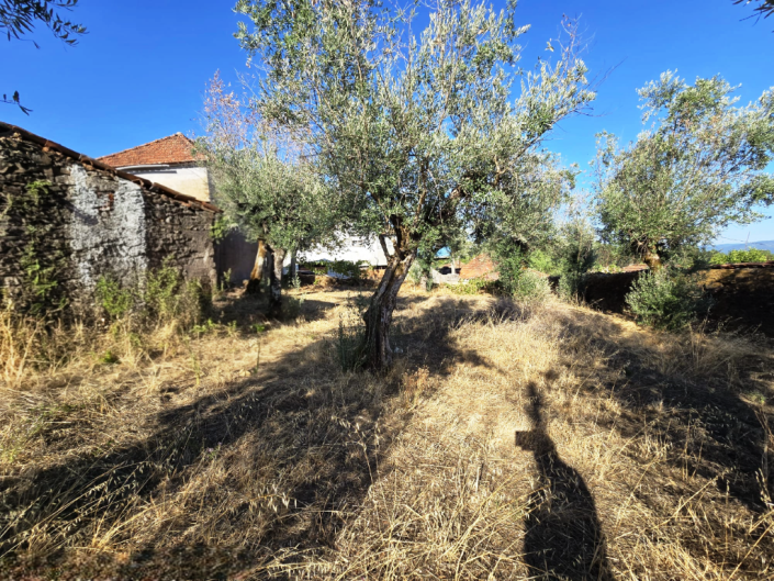 Image No.12-Maison de village à vendre à Pedrógão Grande