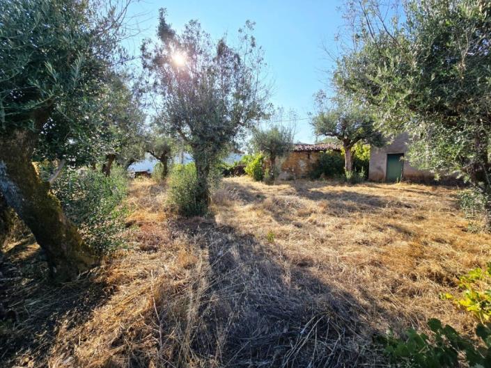 Image No.20-Maison de village à vendre à Pedrógão Grande