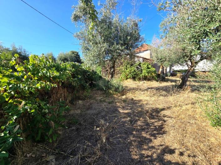 Image No.22-Maison de village à vendre à Pedrógão Grande