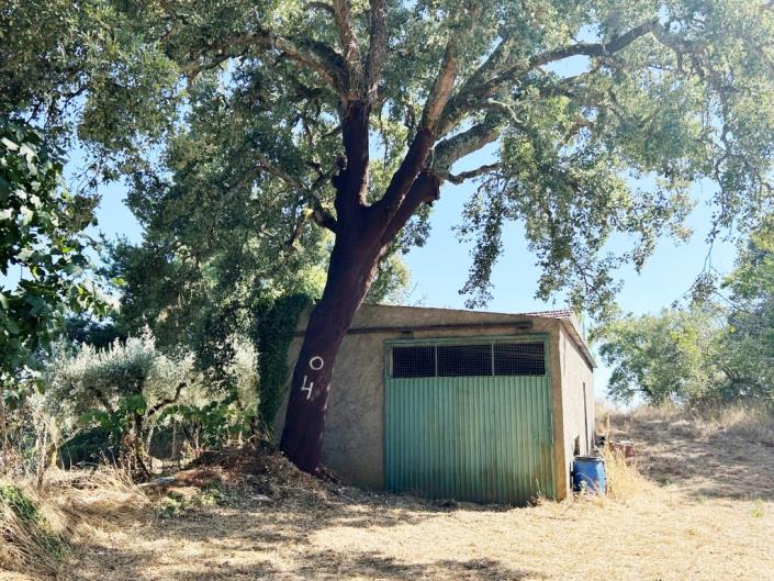 Image No.36-Maison de village de 3 chambres à vendre à Pedrógão Grande