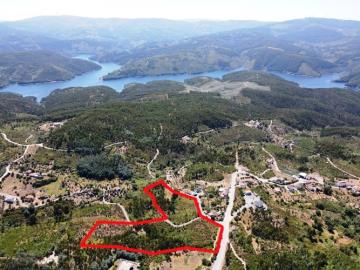 1---1142--new---Custom-