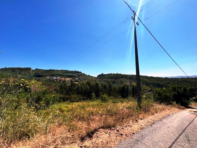 Image No.5-Terre à vendre à Pampilhosa da Serra