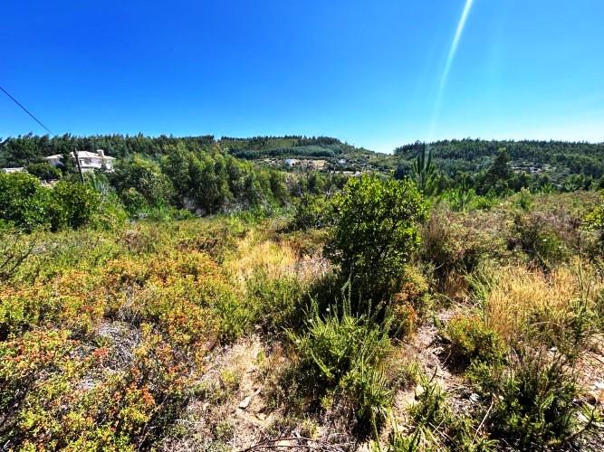 Image No.4-Terre à vendre à Pampilhosa da Serra