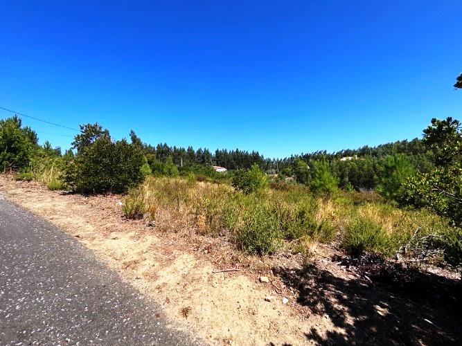 Image No.7-Terre à vendre à Pampilhosa da Serra