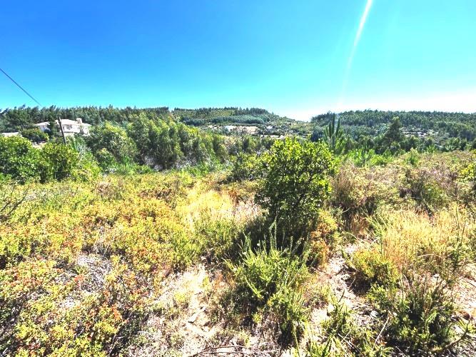 Image No.9-Terre à vendre à Pampilhosa da Serra