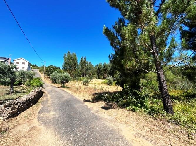 Image No.10-Terre à vendre à Pampilhosa da Serra