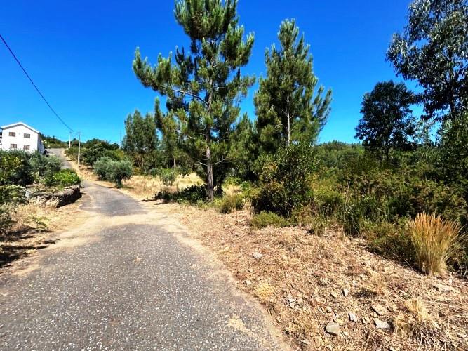 Image No.12-Terre à vendre à Pampilhosa da Serra