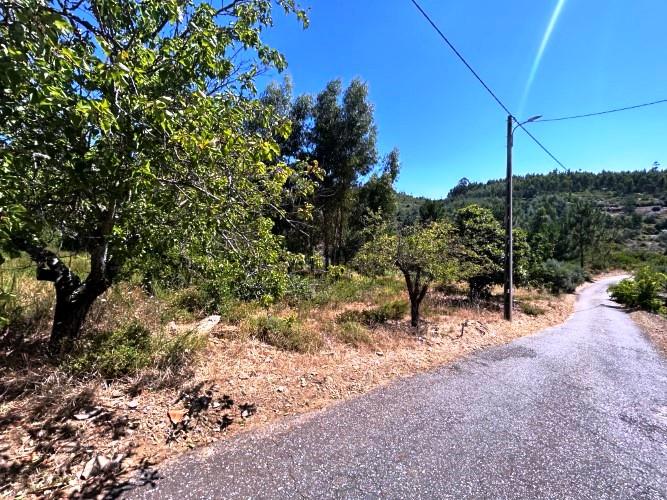 Image No.13-Terre à vendre à Pampilhosa da Serra