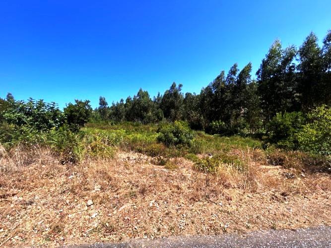 Image No.14-Terre à vendre à Pampilhosa da Serra