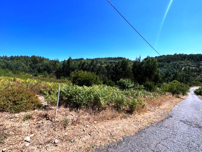 Image No.15-Terre à vendre à Pampilhosa da Serra