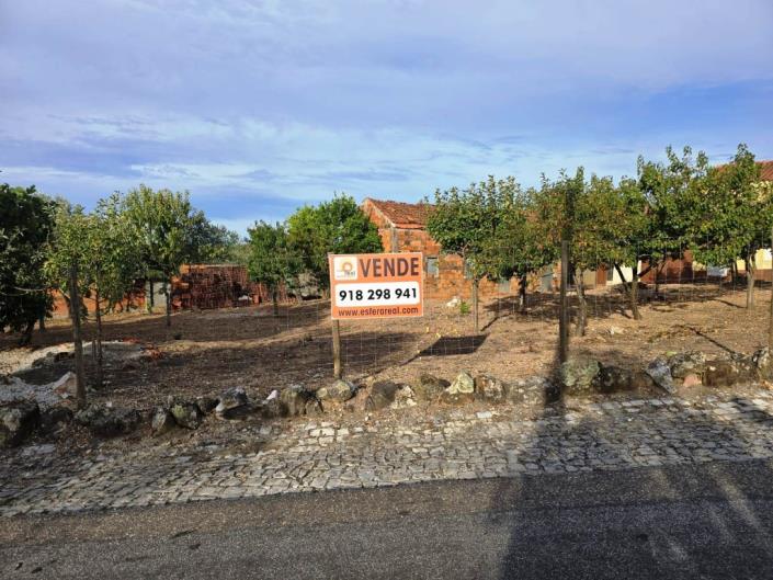 Image No.2-Terre à vendre à Figueiró dos Vinhos