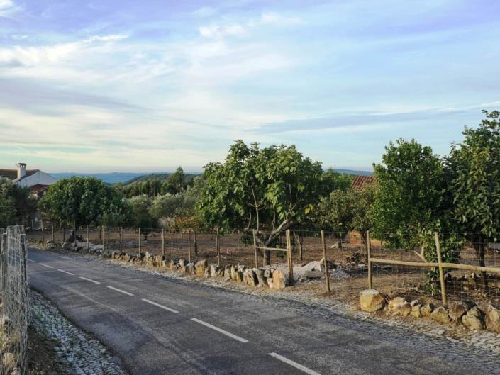 Image No.3-Terre à vendre à Figueiró dos Vinhos