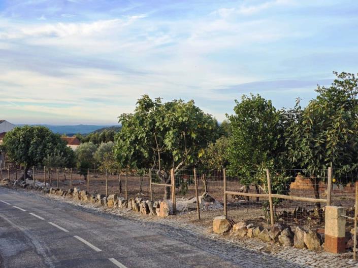 Image No.5-Terre à vendre à Figueiró dos Vinhos