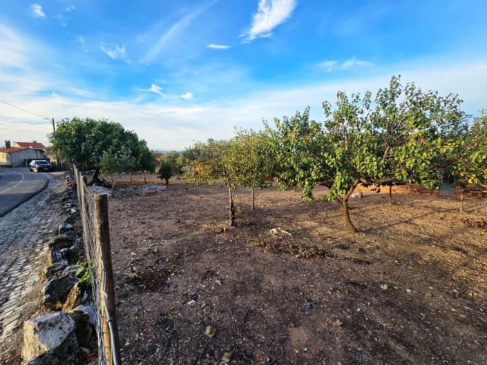 Image No.6-Terre à vendre à Figueiró dos Vinhos