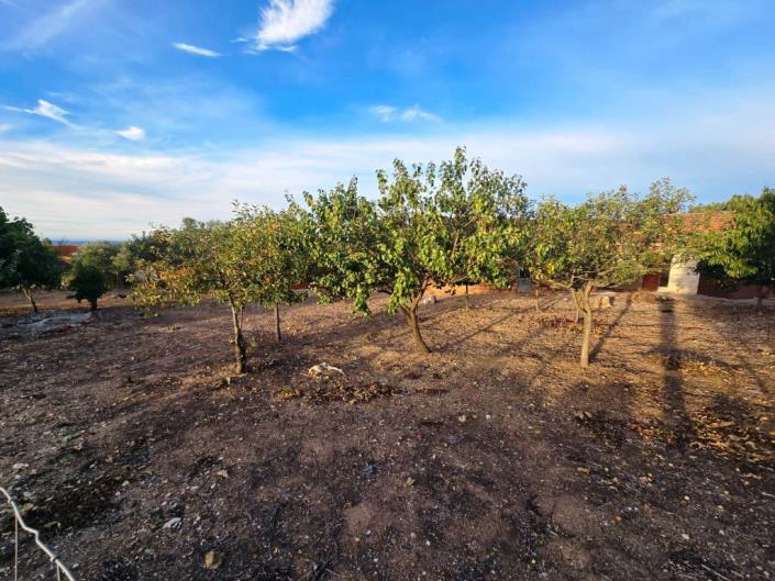 Image No.7-Terre à vendre à Figueiró dos Vinhos