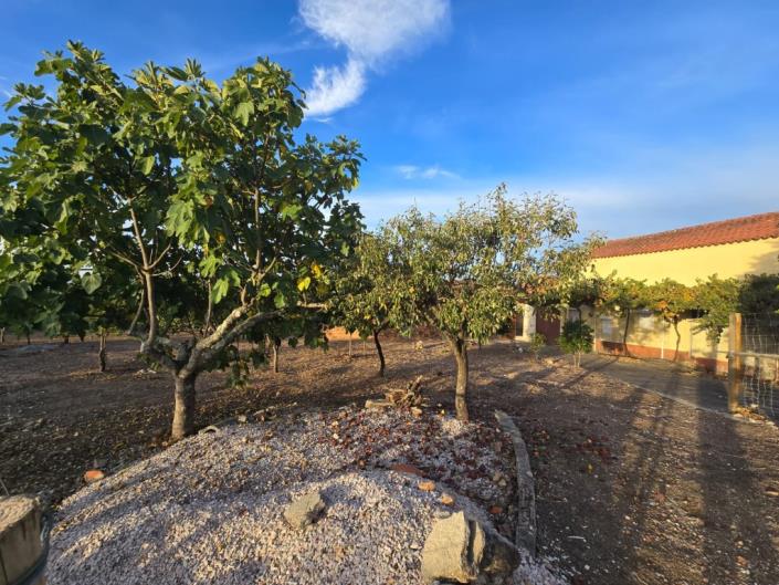 Image No.9-Terre à vendre à Figueiró dos Vinhos