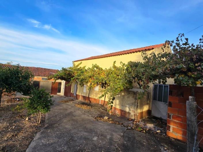 Image No.14-Terre à vendre à Figueiró dos Vinhos