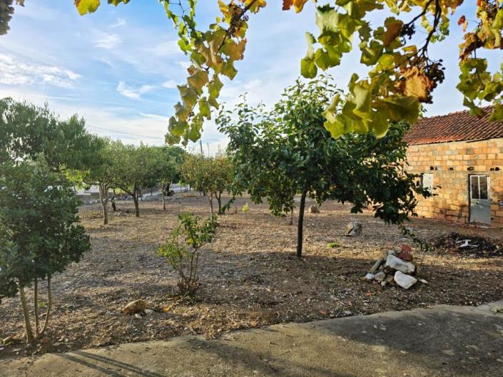Image No.23-Terre à vendre à Figueiró dos Vinhos