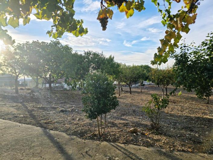 Image No.24-Terre à vendre à Figueiró dos Vinhos