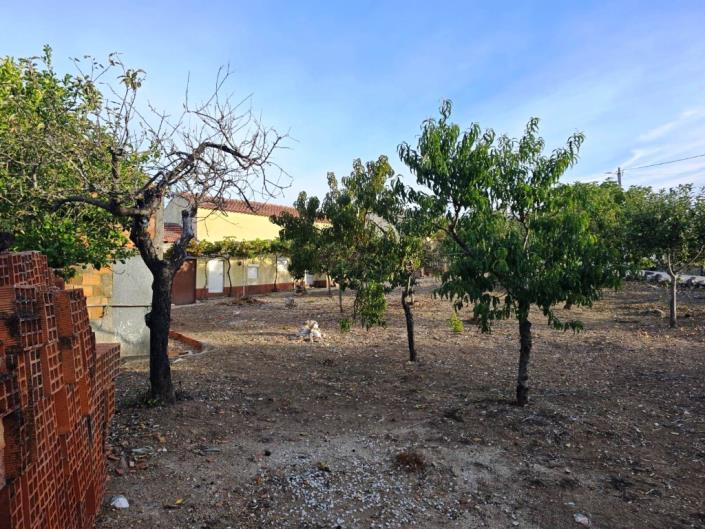 Image No.26-Terre à vendre à Figueiró dos Vinhos