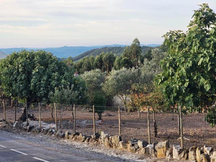 Image No.27-Terre à vendre à Figueiró dos Vinhos