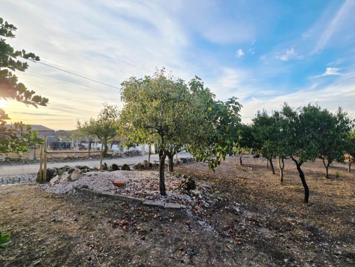 Image No.28-Terre à vendre à Figueiró dos Vinhos