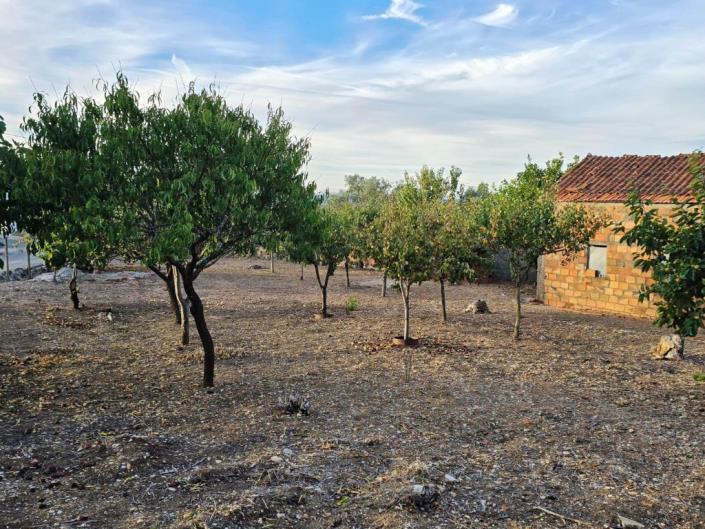 Image No.29-Terre à vendre à Figueiró dos Vinhos