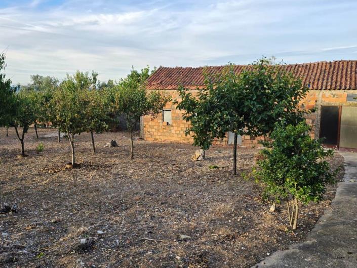 Image No.30-Terre à vendre à Figueiró dos Vinhos