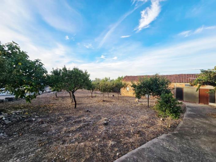 Image No.32-Terre à vendre à Figueiró dos Vinhos