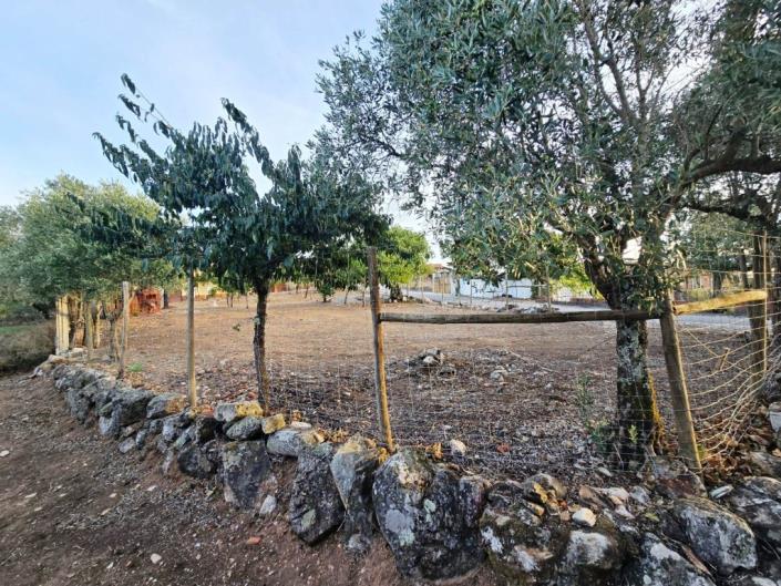 Image No.33-Terre à vendre à Figueiró dos Vinhos