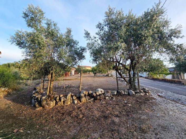 Image No.34-Terre à vendre à Figueiró dos Vinhos
