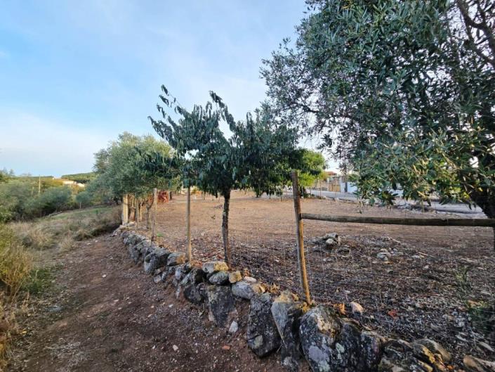 Image No.35-Terre à vendre à Figueiró dos Vinhos