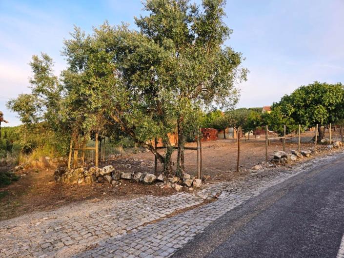 Image No.36-Terre à vendre à Figueiró dos Vinhos